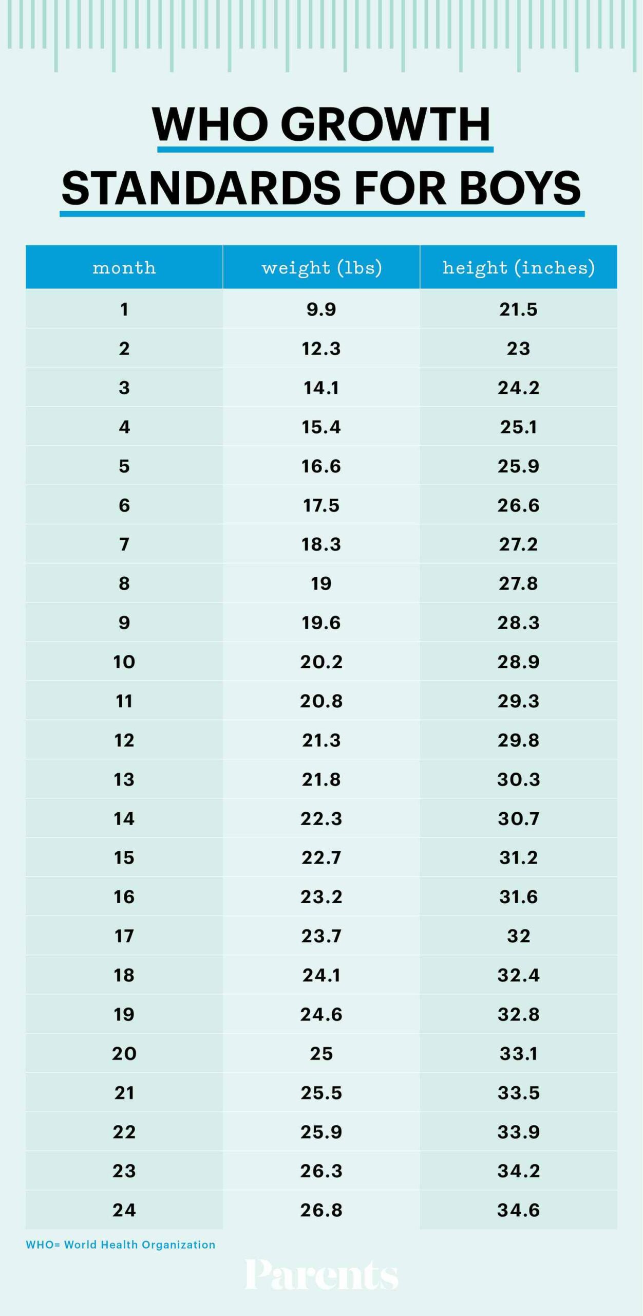 Weight Chart for Newborn and Infant Boys by Month - Doctor Network