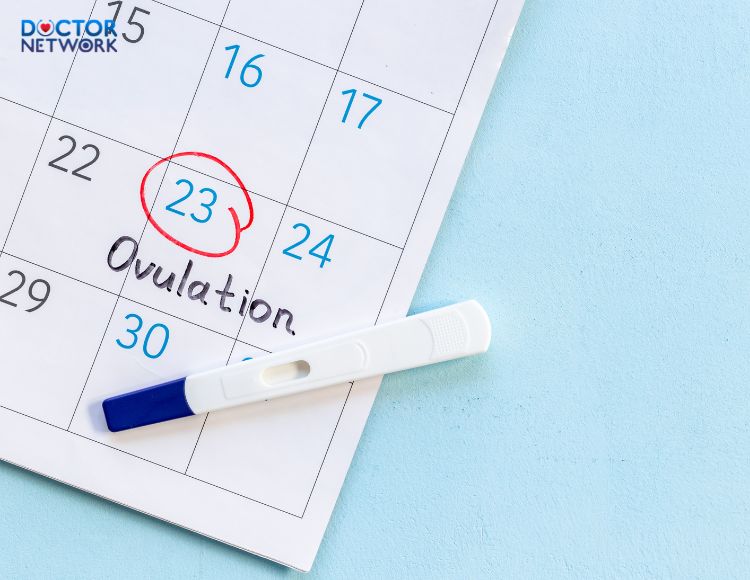 cách canh ngày rụng trứng 1
determine ovulation day 1
