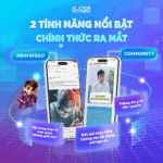 Newsfeed Community