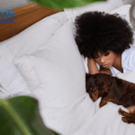 can humans get fleas from dogs